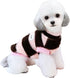 Dog Winter Warm Clothing Striped Vest with Cute Little Bear Pattern Plush Sweater (Black Pink, Medium)