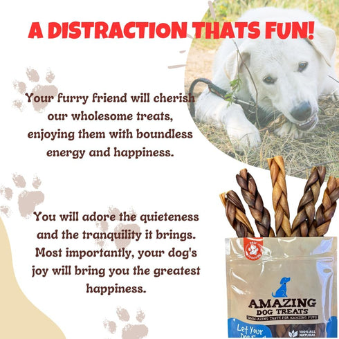 Amazing Dog Treats - 6 Inch Braided Collagen Sticks for Dogs, 10 Count - Collagen Bully Sticks, 95% Natural, No Hide