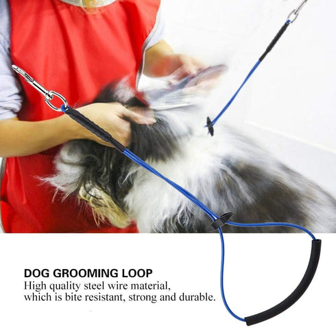 Dog Grooming Loop - Single Noose Hoop Restraint Loop for Pet Table Arm or Bath Tub