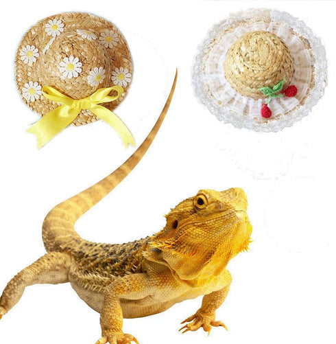 2 Pack Handmade Rattan Bearded Dragon Hats, Reptile Apparel Accessories, Lizard Caps for Small Animals