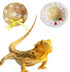 2 Pack Handmade Rattan Bearded Dragon Hats, Reptile Apparel Accessories, Lizard Caps for Small Animals