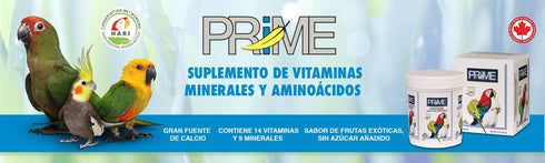Hagen Prime Parrot Vitamin, Mineral, and Amino Acid Supplement for Seed Eating Birds, 1.1 oz