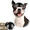 Enjoying Dog Helmet for Medium Dogs - Motorcycle Doggie Helmets for Small to Medium Breeds, Adjustable