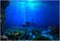 FILFEEL Aquarium Background Fish Decorations, PVC Adhesive Undersea Backdrop for Aquarium Fish Decoration 61 * 41cm