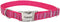 Coastal Pet - Ribbon - Adjustable Dog Collar with Metal Buckle, Pink Flamingo Stripe, 5/8" x 08"-12"