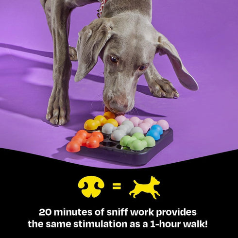 Brightkins Kanoodle Dog Edition Small - Dog Toys for Small Dogs, Interactive Puppy Toys, Food Puzzle for Dogs, Cat