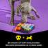 Brightkins Kanoodle Dog Edition Small - Dog Toys for Small Dogs, Interactive Puppy Toys, Food Puzzle for Dogs, Cat