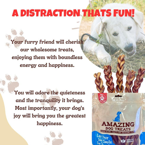 Amazing Dog Treats 6" Braided Bully Stick (10 Pcs/Pack) - Made from Premium Grass Fed Argentinian Beef