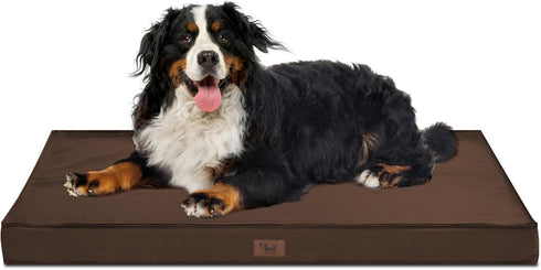 Outdoor Waterproof Dog Bed - Orthopedic Bed for Extra Large Dogs, Egg Foam with Washable Oxford Cooling Cover, Brown