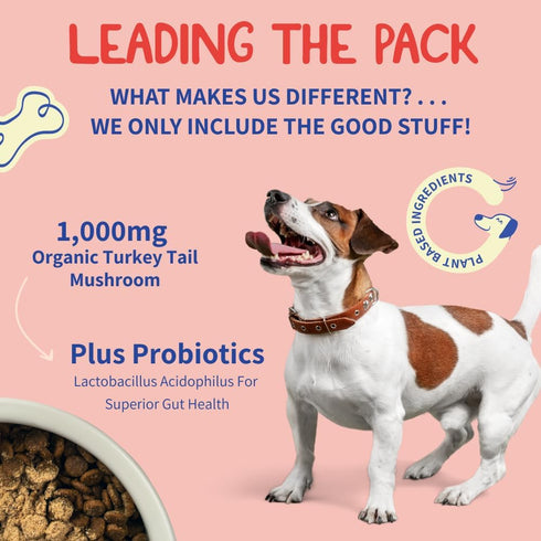 Turkey Tail Mushroom for Dogs - Powder Supplement for Gut Health, Guards Against Lumps & Bumps