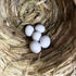 WOLEDOE 8Pcs Solid Plastic Parrot Fake Eggs, Keeping Them from Laying Anymore Eggs, Suit for Medium and Large Parrots