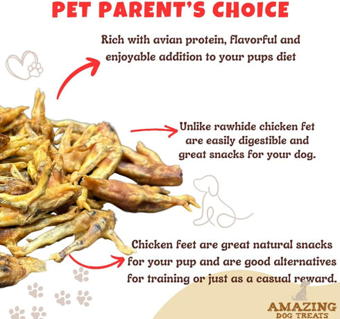 Amazing Dog Treats - Chicken Feet (12 Count) - All Natural American Grade Chew Bones for Dogs