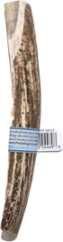 Prairie Dog Antlers, North American Split Elk Antler, SMALL, 4-5.5 inches