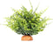 WOLEDOE Fake Green Boston Fern, Reptile Plants for Terrarium, Amphibian Tank Accessories Habitat