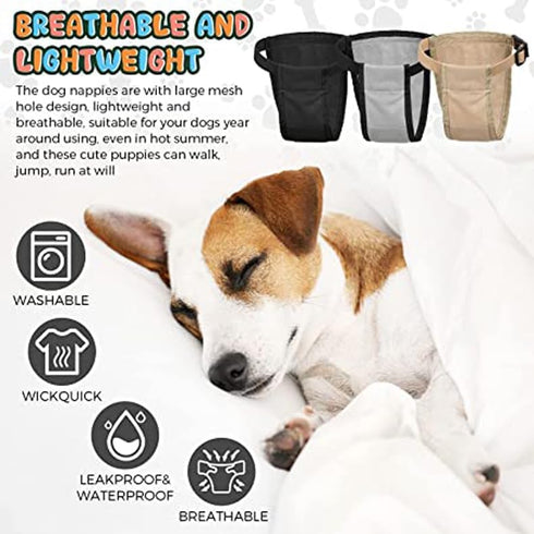 XXL Washable Dog Diapers for Female Dogs - Breathable Mesh in Beige & Gray