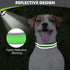 Joytale Neoprene Padded Dog Collar for Small Dogs, Reflective Wide Collar with Durable Metal Buckle, Green