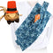 Lizard Costume with Sling Carrier, Bearded Dragon Clothing Adjustable Reptile Carrier Sling for Outdoor Walking (Orange