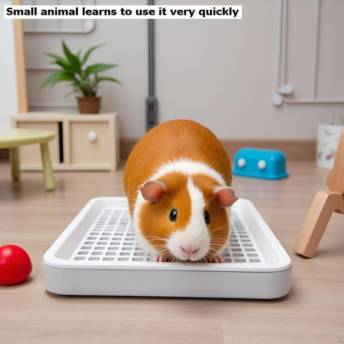 Moan&Miao Chinchilla, Generic Guinea Pig Toilet, Small Animal Potty Trainer Corner, Square Rat Litter Bedding Box