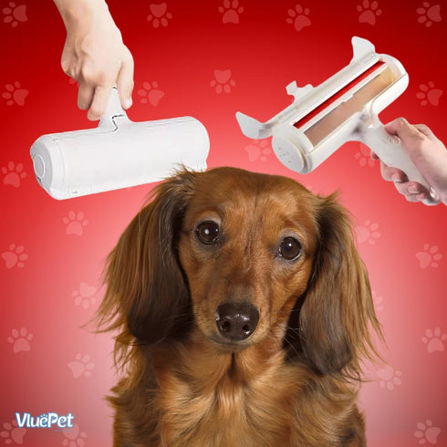 Pet Grooming Set, Washable Hair Remover Tool, Shedding Control & Comfortable Massage Glove for Dogs and Cats