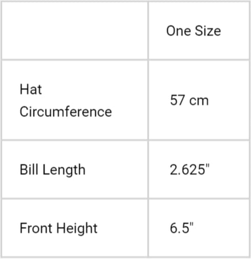 Headsweats Performance Adjustable Trucker Hat for Men and Women