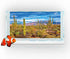 Reptile Habitat Background Rock Oasis Cactus Desert Terrarium Background 36x18in with 10 EVA Double-Sided Tape