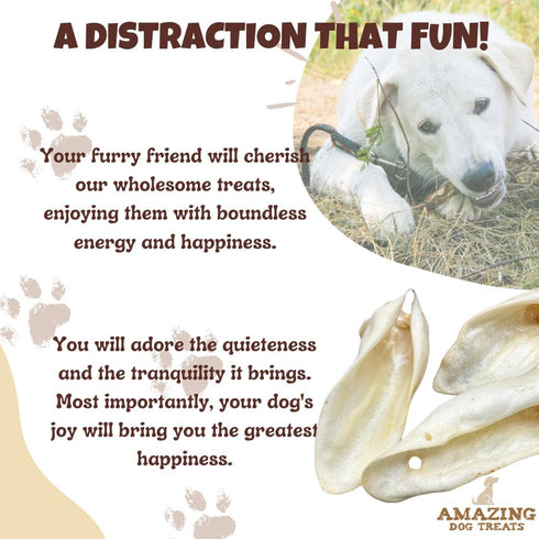 Amazing Dog Treats - Whole Full Size Lamb Ears (50 Pcs/Pack) - Natural Rawhide Alternative Dog Chews