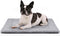 Dog Bed, Washable Dog Crate Mat, Ultra Soft & Anti-Slip, Fits Crates & Kennels for Dogs Up to 25 lbs, 24" x 18"