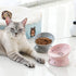 Sweejar Ceramic Raised Cat Bowls - Grey | Slanted Cat Dish for Food or Water, Elevated Porcelain Pet Feeder Bowl