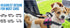 KOOK UDU Dog Seat Belt for Car, Dual Pet Vehicle Headrest Restraint Safety Seatbelt,Two Dog Leash No Tangle Dog Car