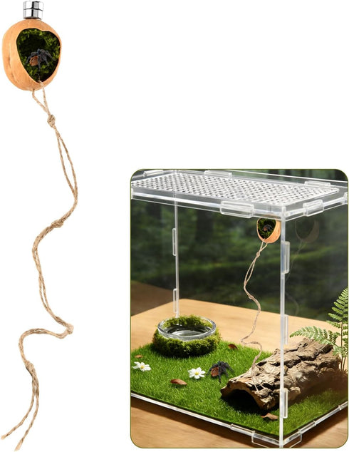 Lovarisse Insects(Wood,Size:4.5 3cm) Walnut Skin Spider Shelter,Magnetic Jumping Spider Habitat,Handmade Climbing