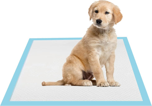 CUNIQUEPETAL 22x22 Dog Pee Pads 100 Count, Charcoal Puppy Pads, Super Absorbent Training