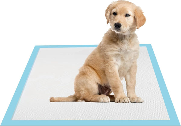 CUNIQUEPETAL 22x22 Dog Pee Pads 100 Count, Charcoal Puppy Pads, Super Absorbent Training