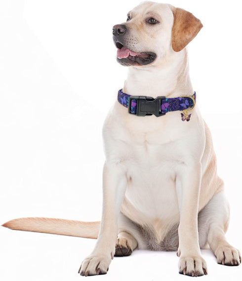 Adjustable Dog Collar with Buckle for Cute Girl and Boy Dogs, Soft and Fancy with Flower Design for Small, Medium, and