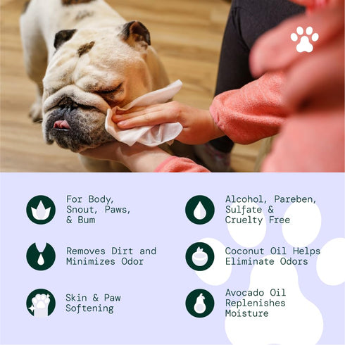ALOH Hypoallergenic All-Natural Multi-Purpose Pet Wipes - Lavender + Wild Mint 50ct Wipes