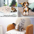 3 Pack Cat and Dog Blanket, Soft & Warm Fleece Flannel Pet Throw for Small, Medium & Large Dogs (Small)