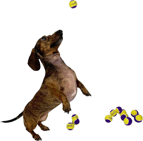 Pack of 12 Midlee Squeaky Mini Tennis Balls for Dogs - 1.5" (Yellow/Purple)