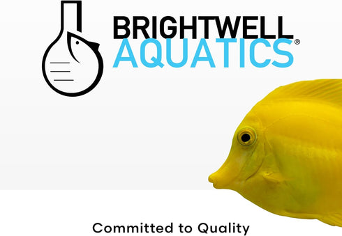 33.8 oz Brightwell Aquatics - Reef Code A - Balanced Calcium & Alkalinity System Water Conditioner - for All Saltwater