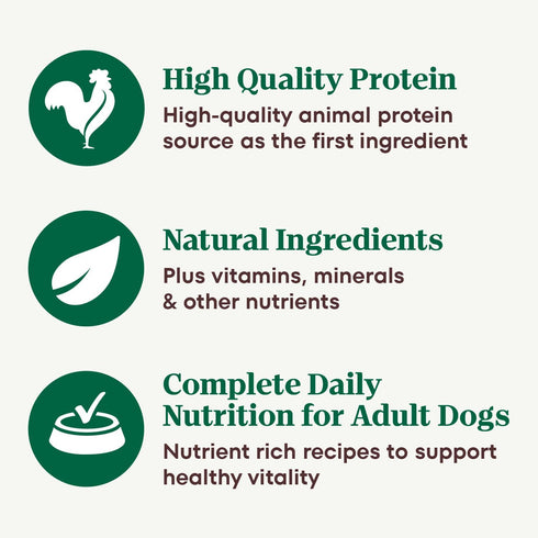 Pack, 12.5 oz (12 Count, Pack 1) Nutro Hearty Stew Canned Wet Dog Food, Natural Grain Free Dog Food Wet Cuts in Gravy