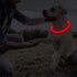 Frienda 4 Pieces Light Up Dog Collars, USB Rechargeable LED Collars for Night Walking, Adjustable for Small to Large