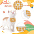 4PCS WEBEEDY Cute Dog Lace Bandana Puppy Cat Flower Scarfs Washable Daily Handkerchief Semicircle Scarf Bibs Saliva