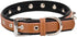 Spiked Studded Padded Leather Pet Collars for Small Medium Large Dogs and Cats (8"-10" Neck, Brown Spiked)