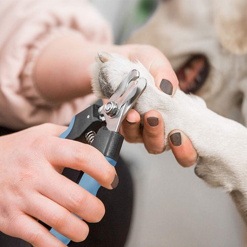 Pet Nail Clippers and Trimmers Set, Safety Guard to Avoid Over Cutting, Razor Sharp Blades Grooming Tool for All Small