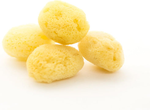 Set 1 1/2" 2" Nautical Crush Trading Hermit Crab Sea Sponges | Natural Sea Sponges for Hermit Crab Habitats | Four Sea