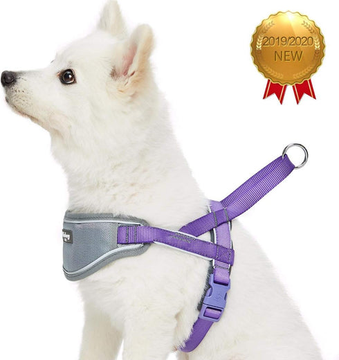 Blueberry Pet Purple Dog Harness, Medium Size, Reflective Nylon Vest, Adjustable for Small Dogs