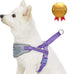 Blueberry Pet Purple Dog Harness, Medium Size, Reflective Nylon Vest, Adjustable for Small Dogs
