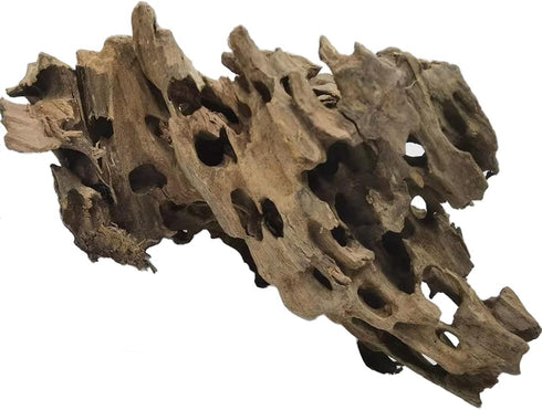 PINVNBY Natural Large Driftwood for Aquarium, Assorted Branches for Reptile Terrarium Decor