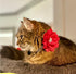 Cute Dazzling Sparkling Elegant Fancy Soft Suede Leather Bling Rhinestone Crystal Jeweled Pet Cat Dog Puppy Collar and