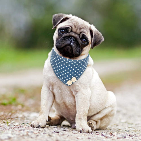 EXPAWLORER Dog Collar and Leash Set, Classic Plaid Bow Tie and Bandana Collar with Bell, Adjustable for Small Medium