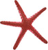 Soft and Flexible Sea Star Artificial Starfish, Silicone Decoration for Fish Tank Landscaping Supplies