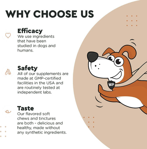 Immune Support Mushroom Powder for Dogs, Organic Mushroom Complex for Immunity and Longevity - 90 Scoops